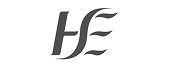 partner logo - hse